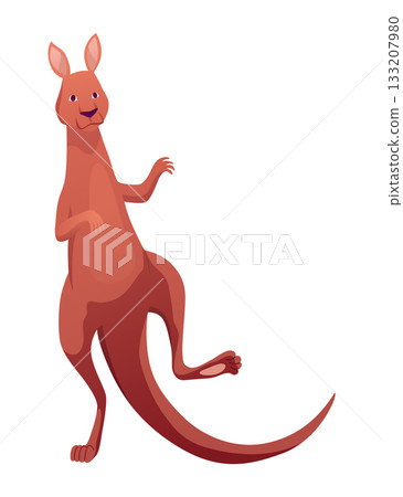 Kangaroo character posing. Adult kangaroo with pouch standing. Vector flat cartoon animal of australian fauna and wildlife, isolated on white background Kangaroo character posing. Adult kangaroo with pouch standing. Vector flat cartoon animal of australian fauna and wildlife, isolated on white background 133207980