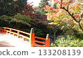 Bridge covered with autumn leaves 133208139