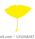 Simple ginkgo leaf② 133208287