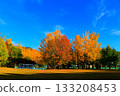 岐阜市大丘公園的秋葉 岐阜市大丘公園的秋葉 133208453