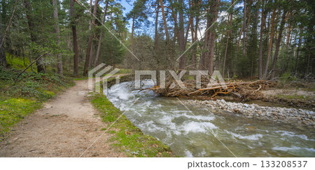 Sierra de Guadarrama National Park, Spain 133208537