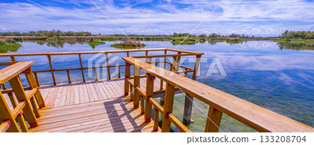 Tablas de Daimiel National Park, Spain 133208704