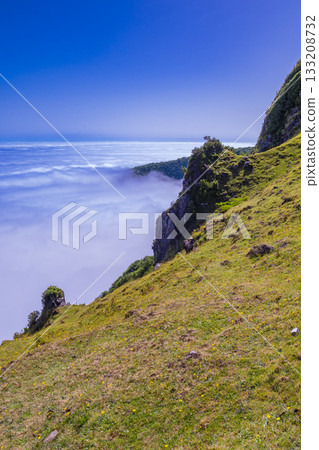 Fog Seascape from Mystical Fanal Forest,  Madeira, Portugal 133208732