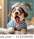 An adorable puppy yawning while waking up in pajamas and a nightcap 133209090