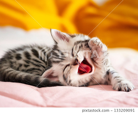 Baby cat stretching and rolling around on the bed 133209091