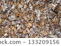 The fallen leaves of dead oak trees cover the ground, creating a carpet-like scene that gives a sense of autumn's deepening. 133209156