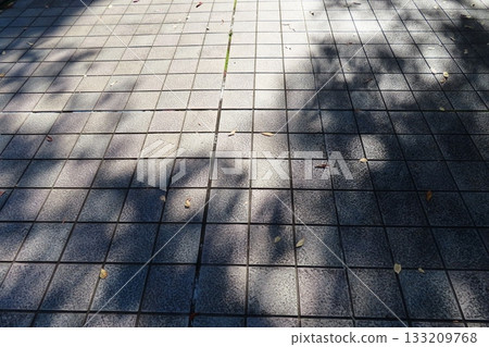 陽光透過地面上的樹木 133209768