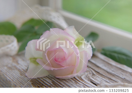 Roses on the windowsill Roses on the windowsill 133209825