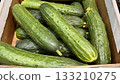 A lot of green cucumbers in a market counter for sale on sale in vegetable stand display at supermarket show organic food, vegetarian food, healthy food. Close-up. 133210275