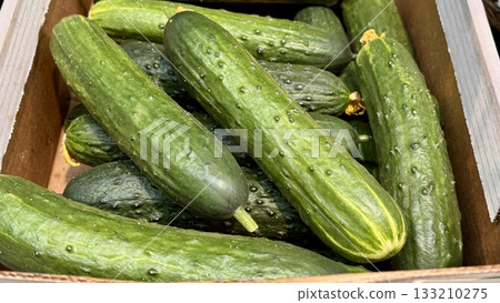 A lot of green cucumbers in a market counter for sale on sale in vegetable stand display at supermarket show organic food, vegetarian food, healthy food. Close-up. A lot of green cucumbers in a market counter for sale on sale in vegetable stand display at supermarket show organic food, vegetarian food, healthy food. Close-up. 133210275