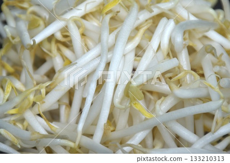 fresh bean sprout raw food prepare to cook in bowl fresh bean sprout raw food prepare to cook in bowl 133210313