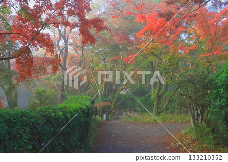 秋天的金鱗湖周邊（由布市由布院町） 133210352