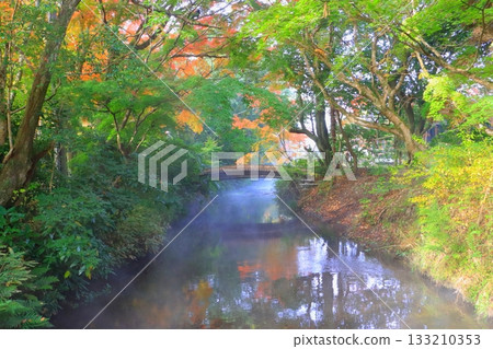 Around Kinrinko Lake in autumn (Yufuin-cho, Yufu City) Around Kinrinko Lake in autumn (Yufuin-cho, Yufu City) 133210353