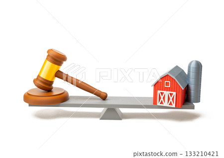 A farmstead and a judge's gavel on the scales. A court ruling on the farmstead. Sale at auction. Property disputes, rural land rights, legal decisions, and agricultural asset management. 133210421