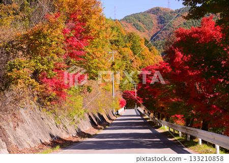 Lake Momiji, where 10,000 maple trees turn color 133210858