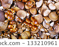 Natural mushroom 133210961