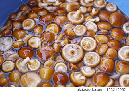 Natural quartz 133210962