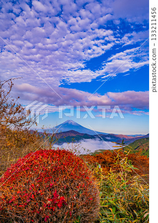 【神奈川縣】秋季的箱根大觀山，蘆之湖與富士山上空雲海翻騰。 133211456