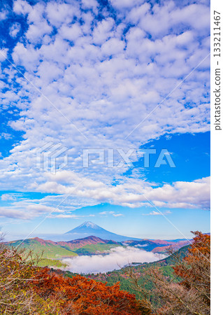 [Kanagawa Prefecture] The sea of clouds over Lake Ashi and Mount Fuji from Mount Daikanzan in Hakone during the autumn foliage season 133211467