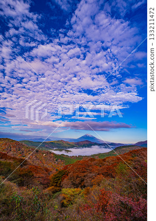 【神奈川縣】秋季的箱根大觀山，蘆之湖與富士山上空雲海翻騰。 133211472