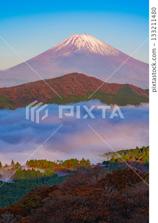 [Kanagawa Prefecture] The sea of clouds over Lake Ashi and Mount Fuji from Mount Daikanzan in Hakone during the autumn foliage season 133211480