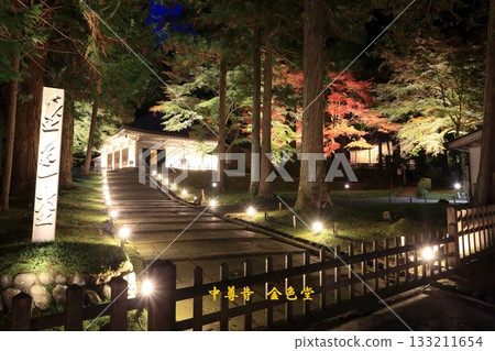Illuminated autumn leaves at the Golden Hall of Chusonji Temple Illuminated autumn leaves at the Golden Hall of Chusonji Temple 133211654