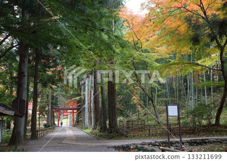 View of Hakusan Shrine from the approach to Chusonji Temple View of Hakusan Shrine from the approach to Chusonji Temple 133211699