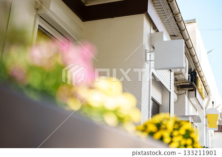 Modern outdoor setup with vibrant flowers in a sunny urban environment Modern outdoor setup with vibrant flowers in a sunny urban environment 133211901