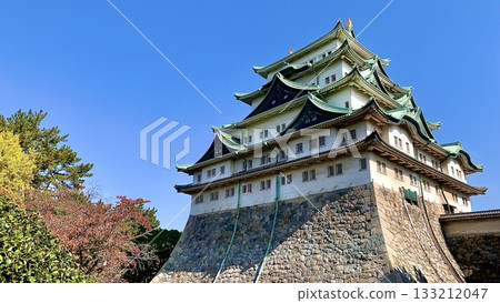 Nagoya Castle's main tower, with its autumn leaves shining against the clear blue autumn sky (Nagoya City, Aichi Prefecture) 133212047