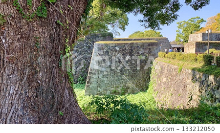名古屋城二之丸護城河的石牆(愛知縣名古屋市) 名古屋城二之丸護城河的石牆(愛知縣名古屋市) 133212050