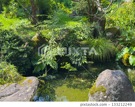 Clear flow and green Clear flow and green 133212249