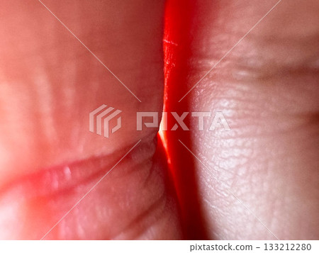 掌到太陽 133212280