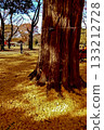 代代木公園的大銀杏樹 代代木公園的大銀杏樹 133212728