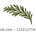 Rosemary branch. Vector isolated illustration 133212754