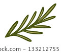 Rosemary branch. Vector isolated illustration 133212755