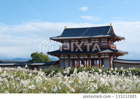 荻野原與平城宮朱雀門 荻野原與平城宮朱雀門 133212885