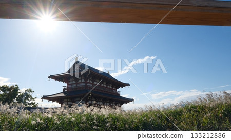 荻野原與平城宮朱雀門 荻野原與平城宮朱雀門 133212886