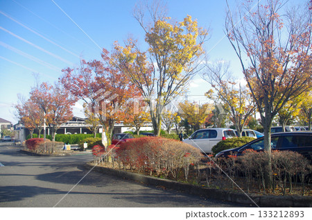 The Kawagoe City Health Center, which I visit several times a year, is also experiencing a brief autumnal atmosphere. 133212893