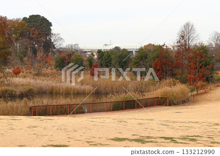 河口市餐名公園和赤山歷史自然公園的秋季景色 河口市餐名公園和赤山歷史自然公園的秋季景色 133212990