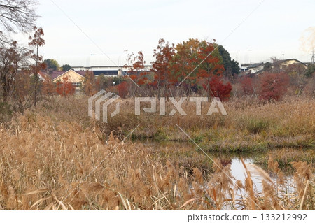 河口市餐名公園和赤山歷史自然公園的秋季景色 133212992