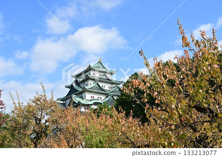 名古屋城天守閣與秋梅（名古屋城） 133213077