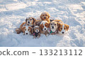 Dogs snuggling together in the piled up snow 133213112