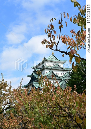 Castle tower and autumn plum leaves (Nagoya Castle) 133213113