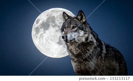 Wolf in the Moonlight 4 133213117