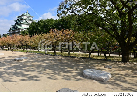 Castle tower, plum blossoms in autumn and the cornerstone of the sixth storehouse (Nagoya Castle) 133213302