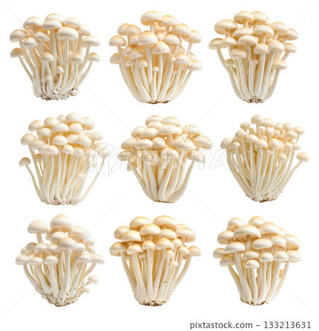 Set of White Enoki mushroom isolated on a white transparent background 133213631