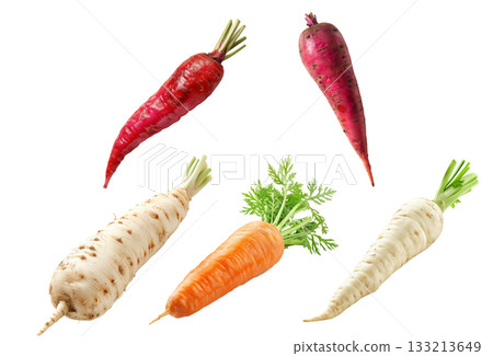 Set of Imperator carrot and Parsnip root with green leaves isolated on a white background Set of Imperator carrot and Parsnip root with green leaves isolated on a white background 133213649