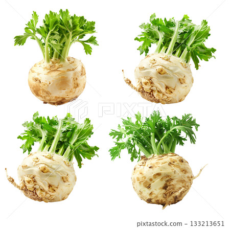 Set of celery root with green leaves isolated on a white background 133213651