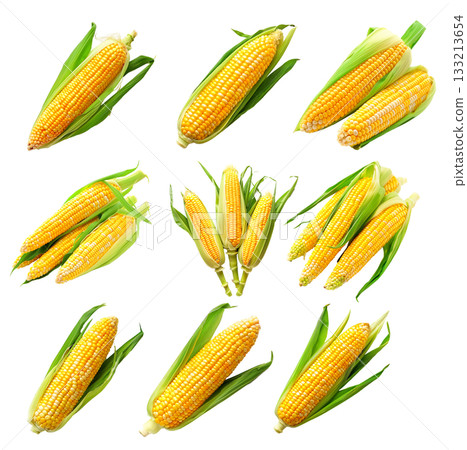Fresh yellow corn with green leaves isolated on a white background 133213654
