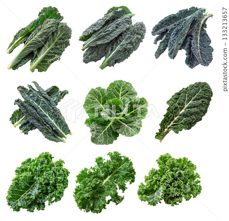 Fresh green Portuguese kale salad leaf isolated on a white background 133213657